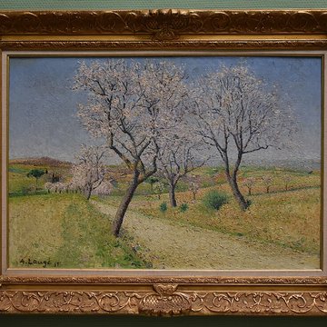 Musée Petiet de Limoux