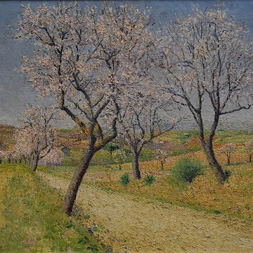 Musée Petiet de Limoux