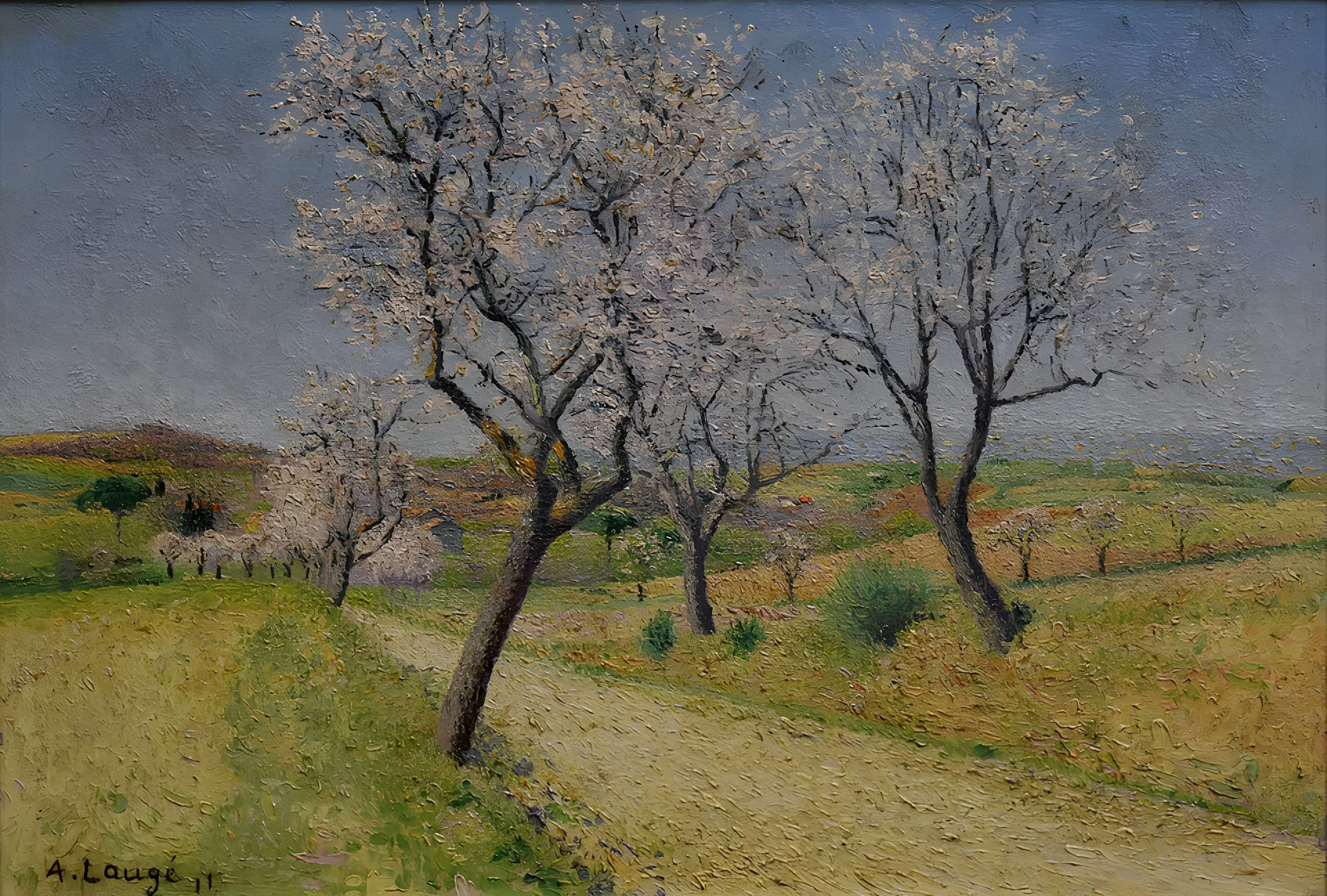 Musée Petiet de Limoux