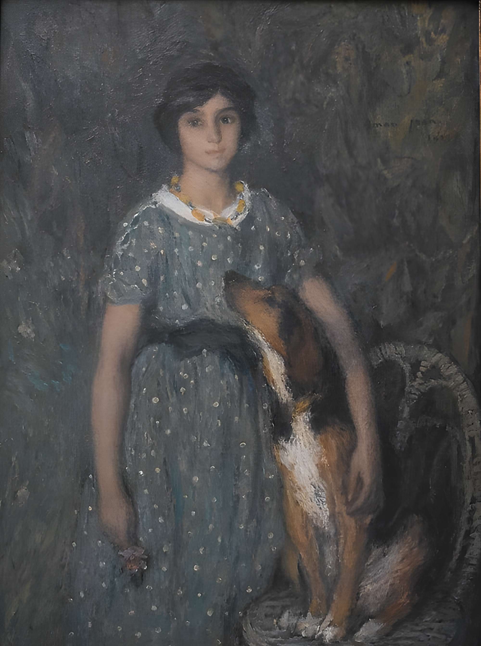 Musée Petiet de Limoux