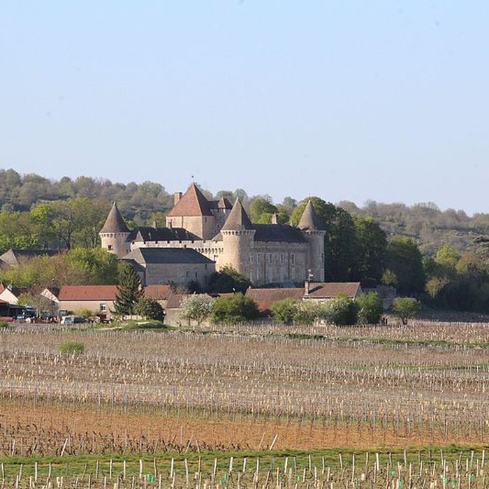 Photo de Château de Rully
