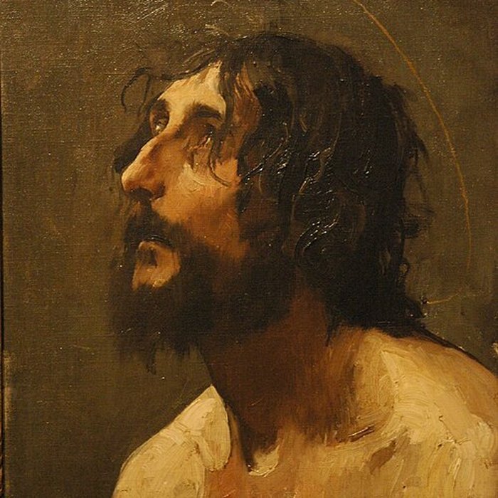 Photo de Musée des beaux-arts de Carcassonne