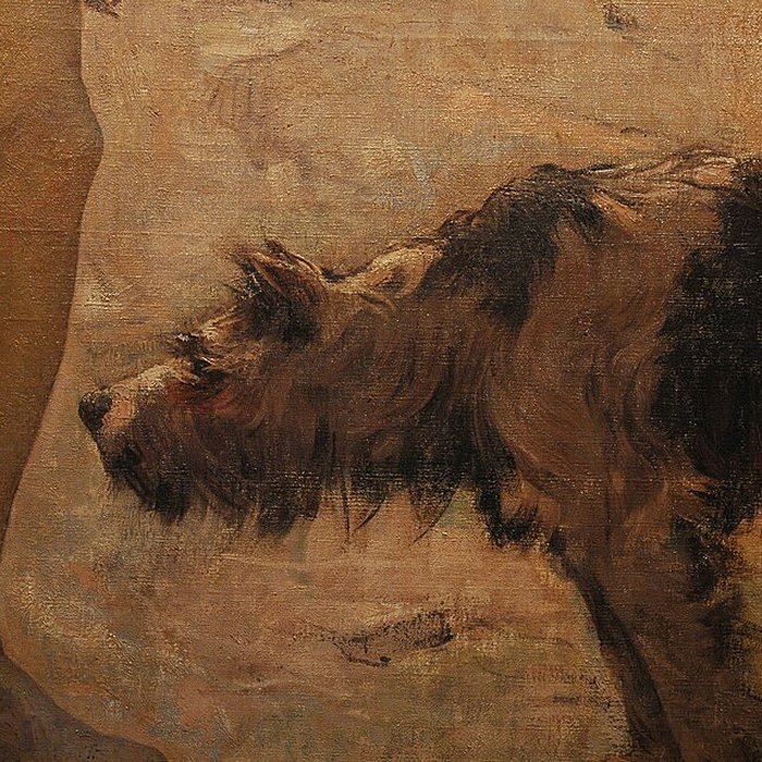 Photo de Musée des beaux-arts de Carcassonne