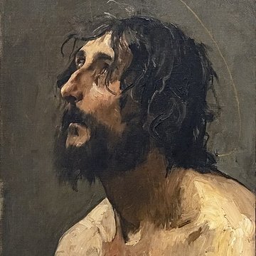 Musée des beaux-arts de Carcassonne