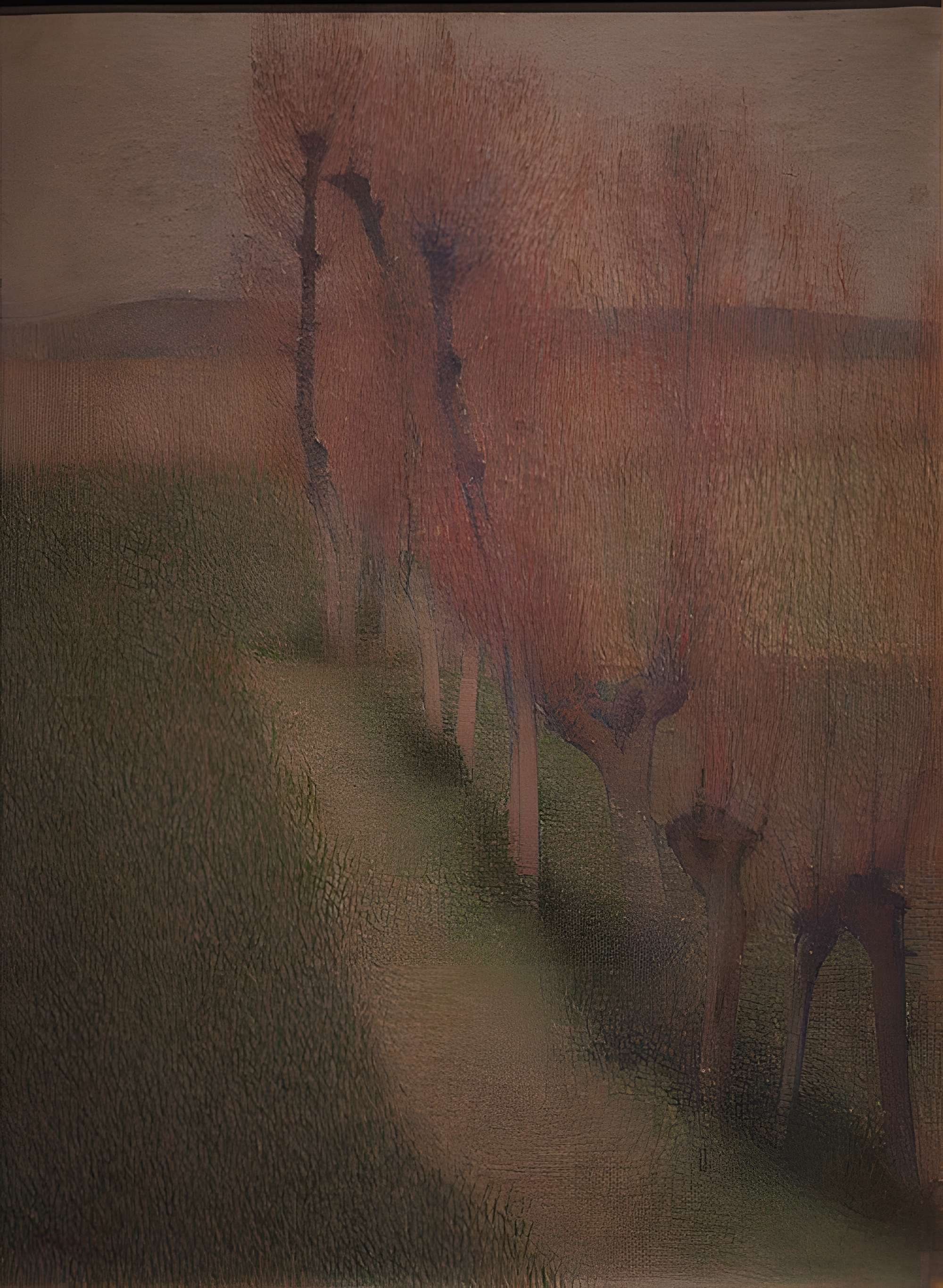 Musée des beaux-arts de Carcassonne