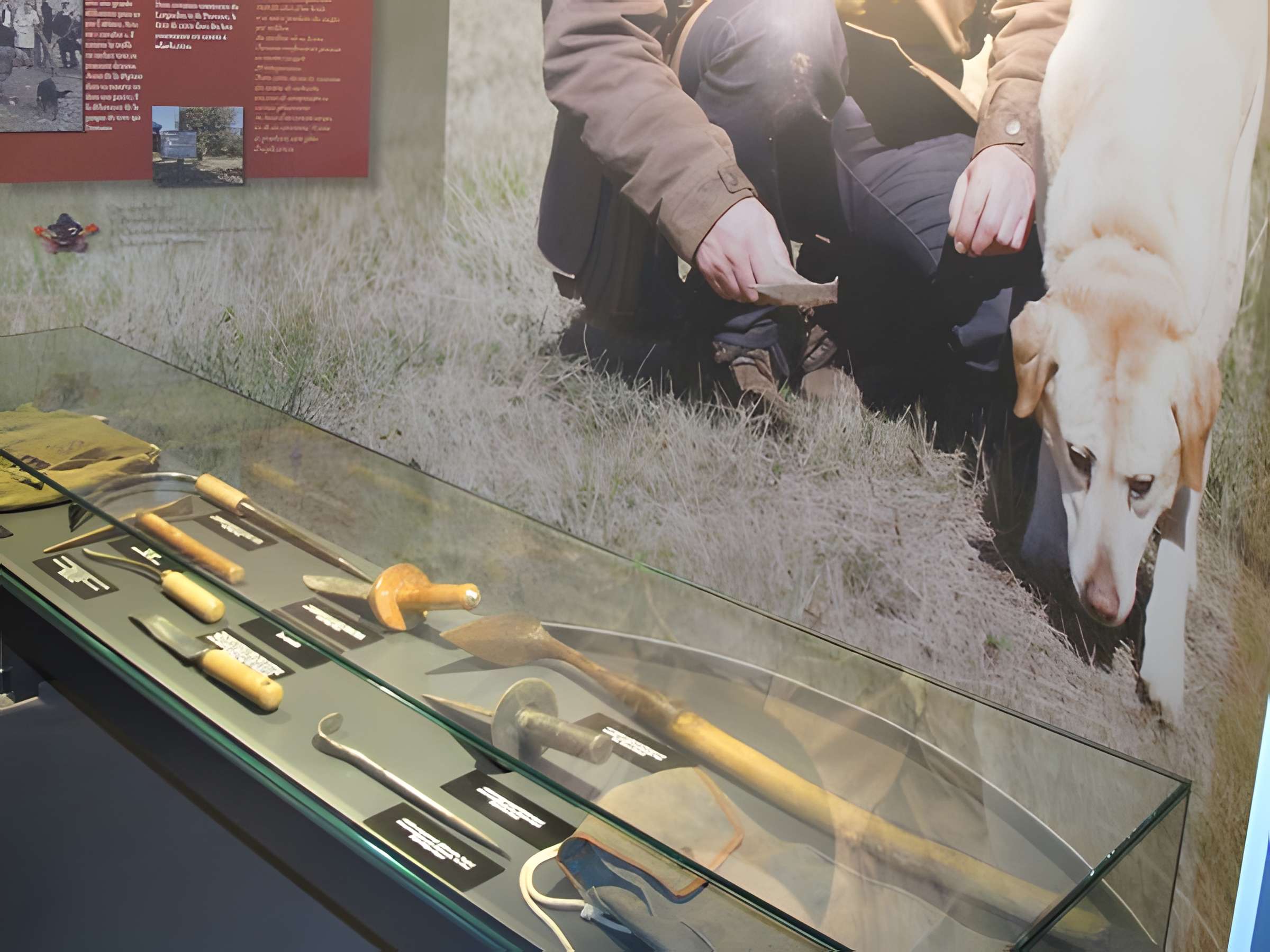 Musée de la Truffe audoise de Villeneuve-Minervois 