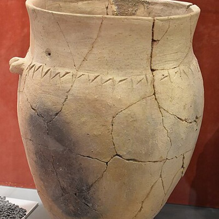 Photo de Musée archéologique Eburomagus à Bram