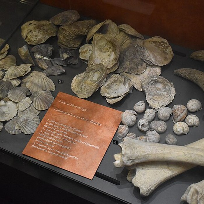 Photo de Musée archéologique Eburomagus à Bram