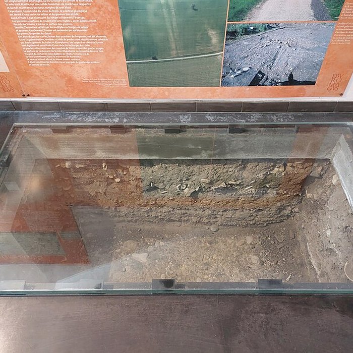 Photo de Musée archéologique Eburomagus à Bram