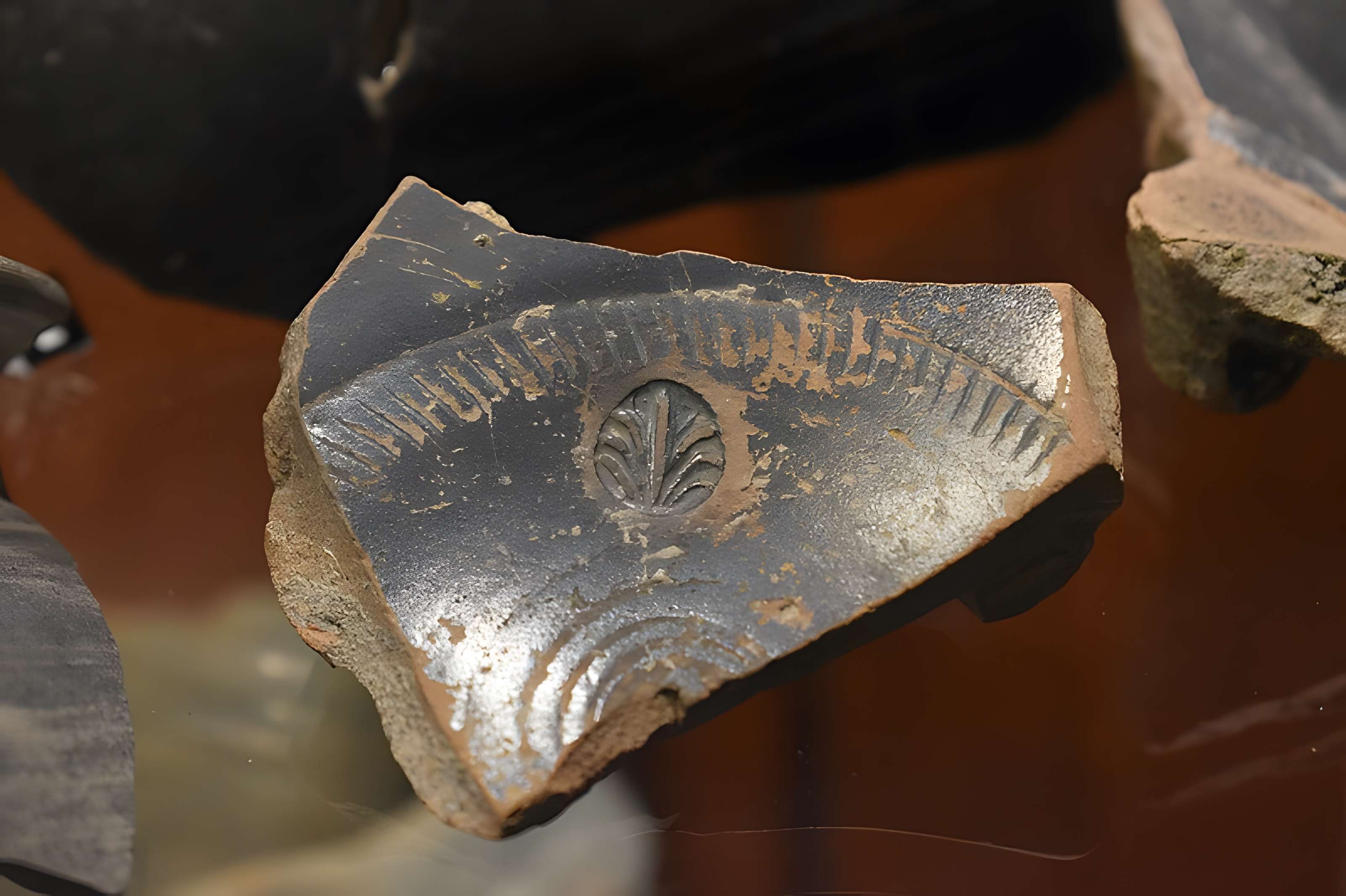 Musée archéologique Eburomagus à Bram