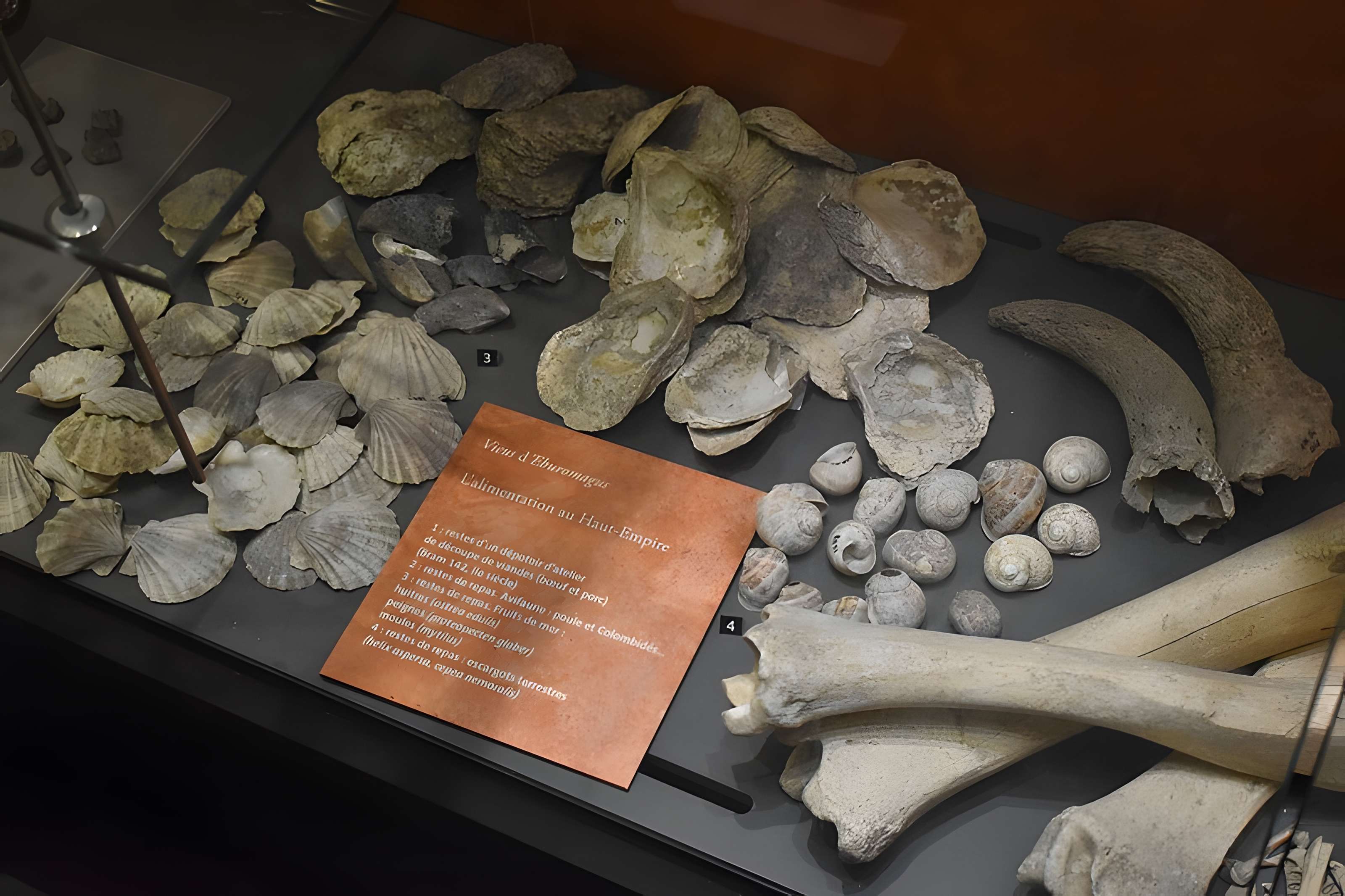 Musée archéologique Eburomagus à Bram