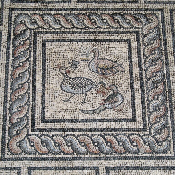 Photo de Musée de la Romanité de Nîmes