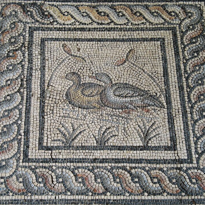 Photo de Musée de la Romanité de Nîmes