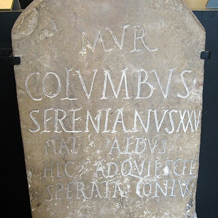 Photo de Musée de la Romanité de Nîmes