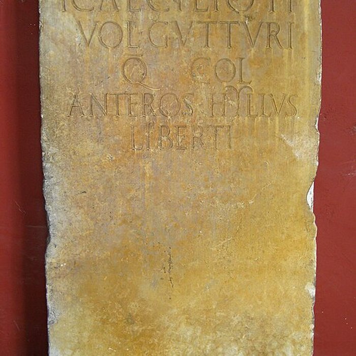 Photo de Musée de la Romanité de Nîmes