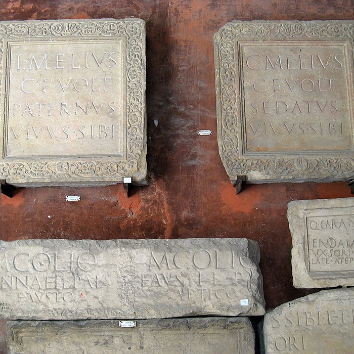 Photo de Musée de la Romanité de Nîmes