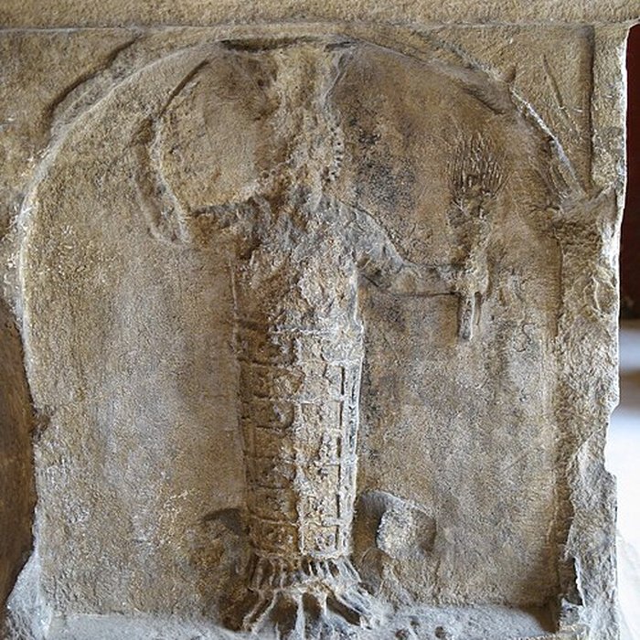 Photo de Musée de la Romanité de Nîmes