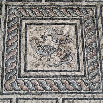 Musée de la Romanité de Nîmes