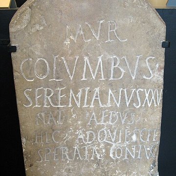 Musée de la Romanité de Nîmes