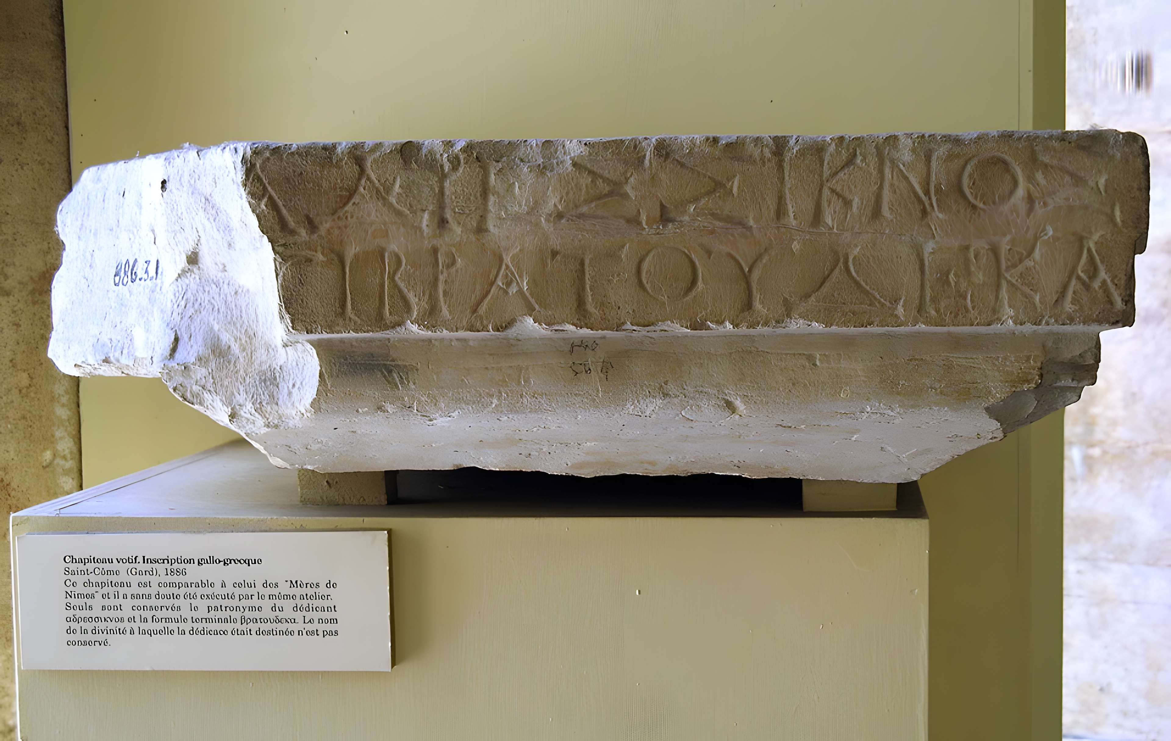 Musée de la Romanité de Nîmes