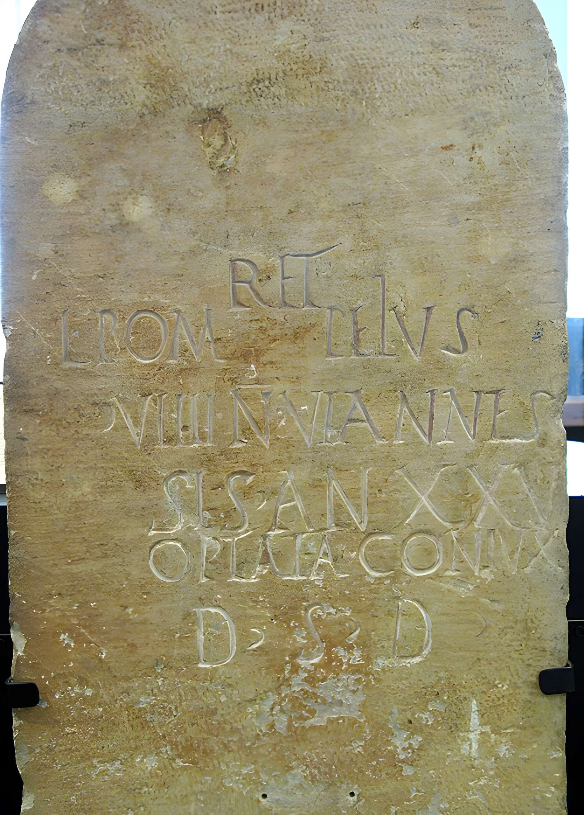 Musée de la Romanité de Nîmes