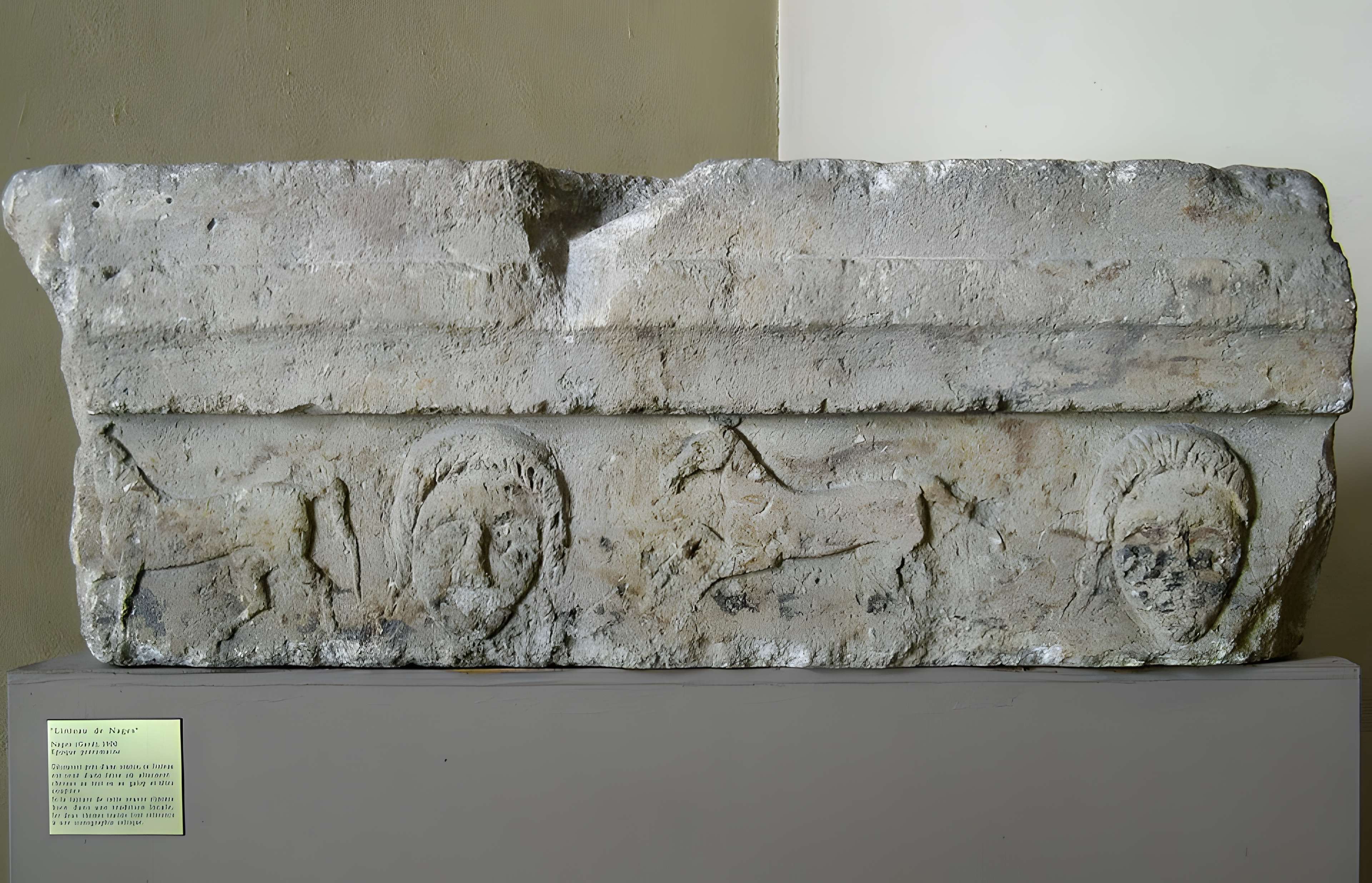 Musée de la Romanité de Nîmes