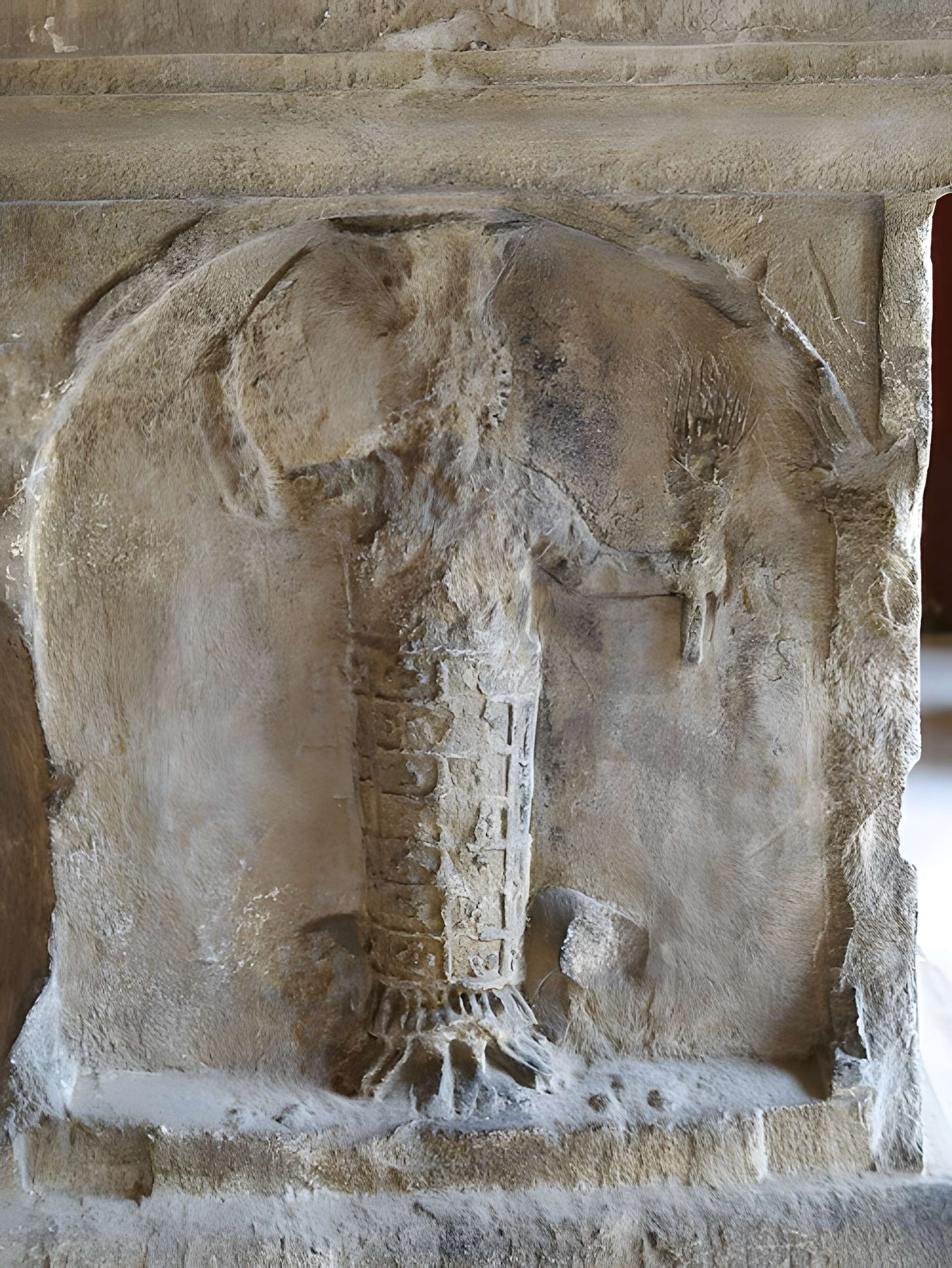 Musée de la Romanité de Nîmes