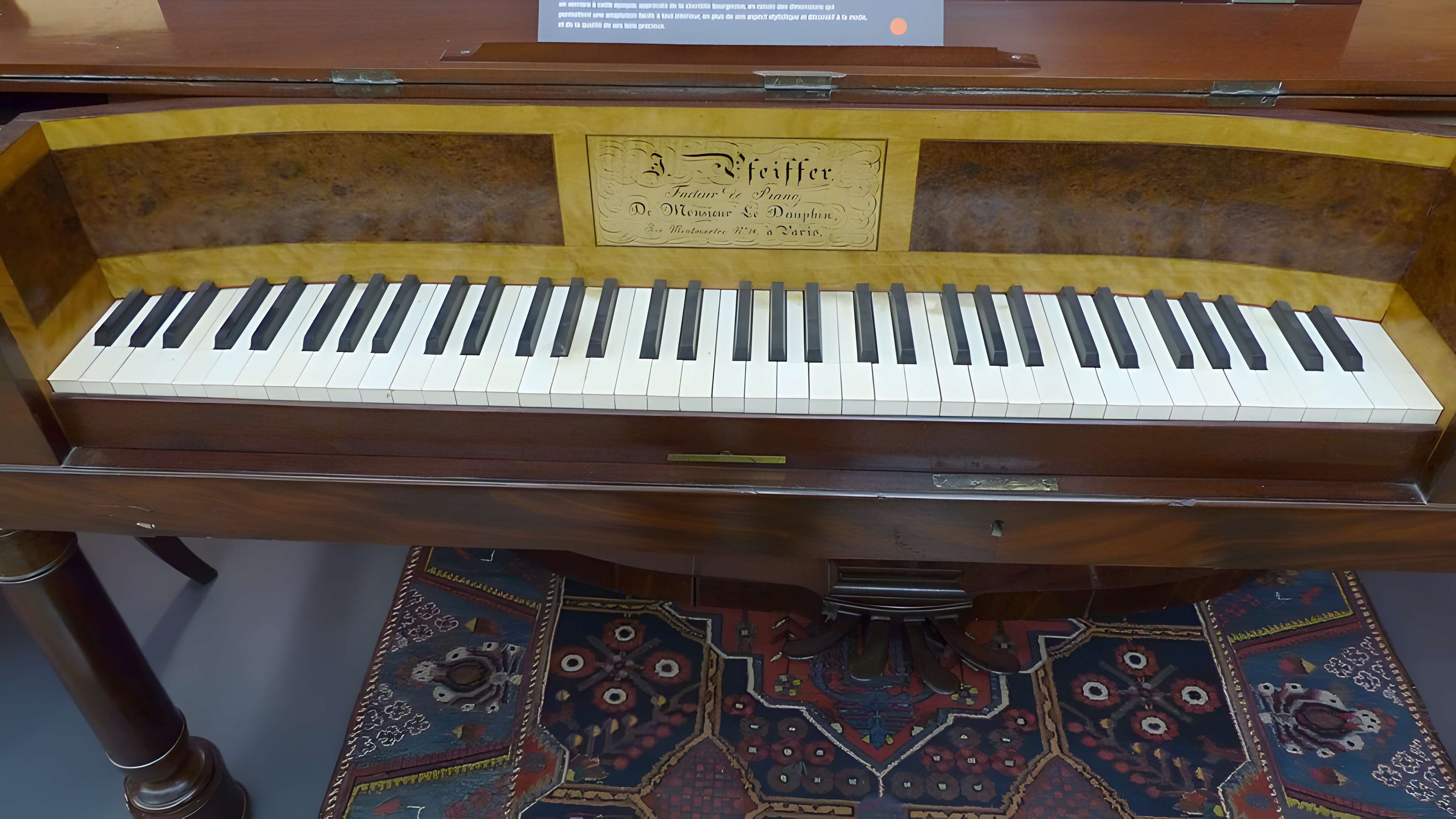 Musée des beaux-arts de Nîmes