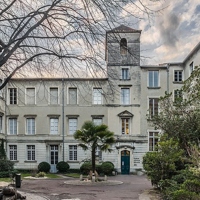 Photo de Muséum dhistoire naturelle de Nîmes