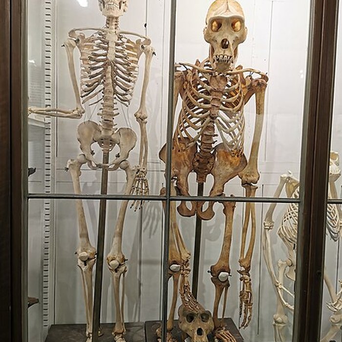 Photo de Muséum dhistoire naturelle de Nîmes