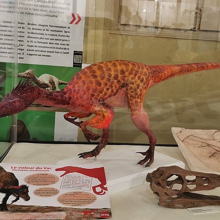 Photo de Muséum dhistoire naturelle de Nîmes