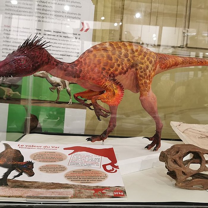 Photo de Muséum dhistoire naturelle de Nîmes