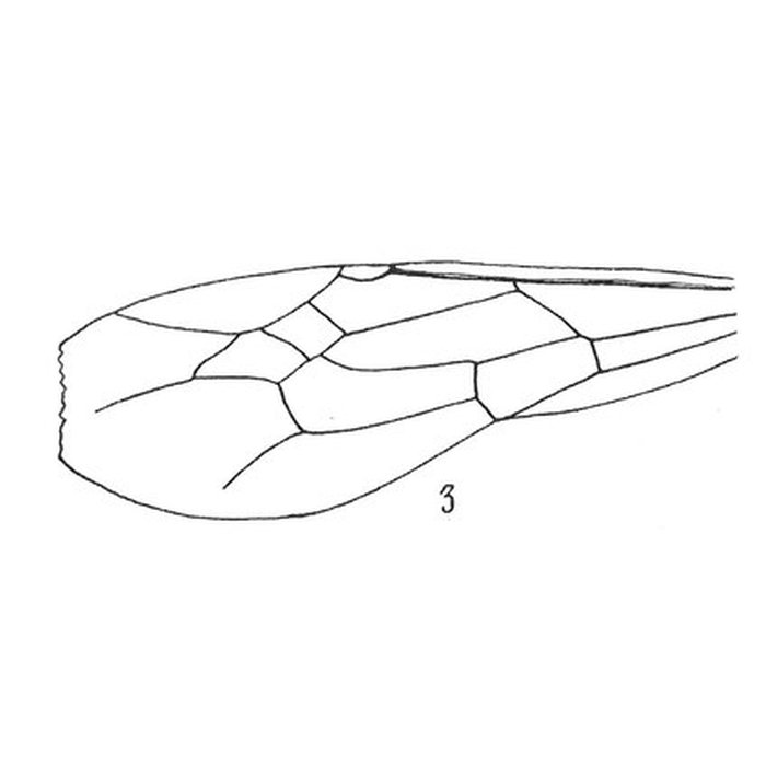 Photo de Muséum dhistoire naturelle de Nîmes