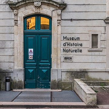Muséum dhistoire naturelle de Nîmes