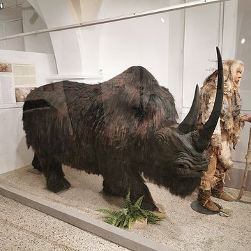 Muséum dhistoire naturelle de Nîmes