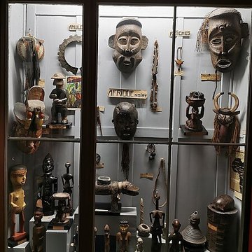 Muséum dhistoire naturelle de Nîmes