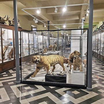 Muséum dhistoire naturelle de Nîmes