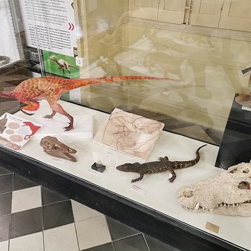 Muséum dhistoire naturelle de Nîmes