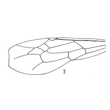 Muséum dhistoire naturelle de Nîmes