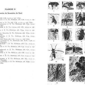Muséum dhistoire naturelle de Nîmes