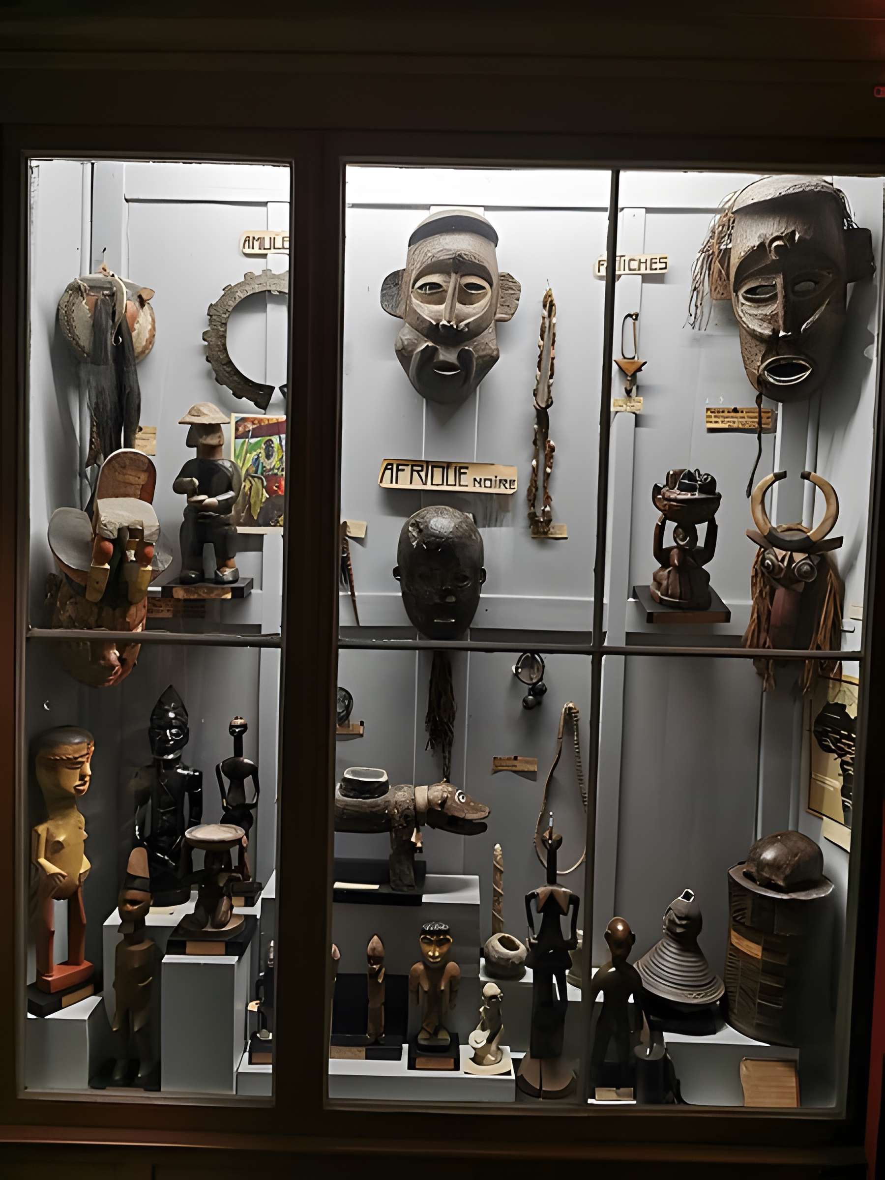 Muséum d'histoire naturelle de Nîmes