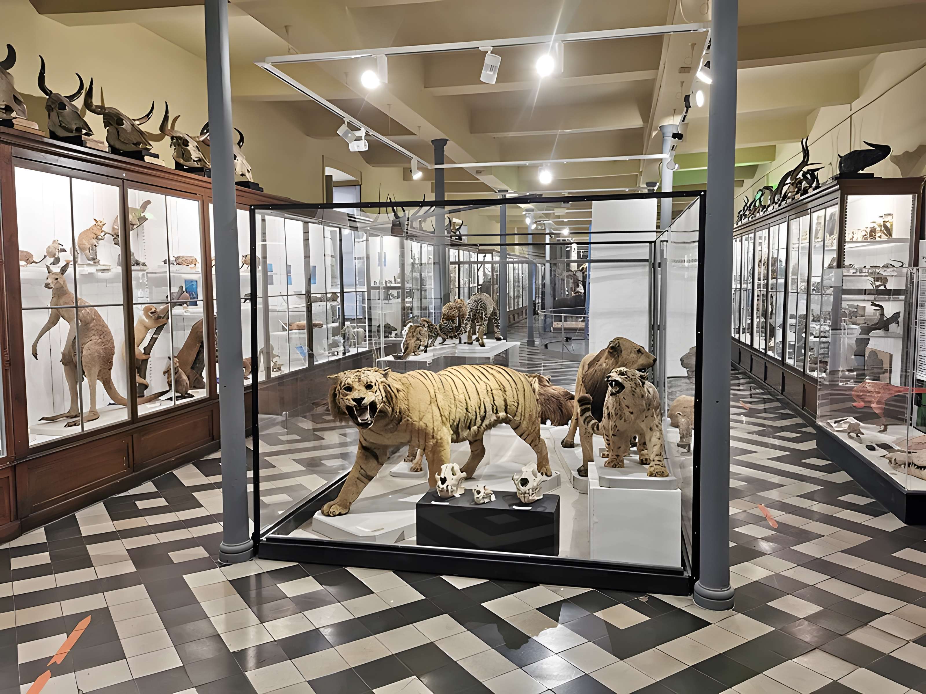 Muséum d'histoire naturelle de Nîmes
