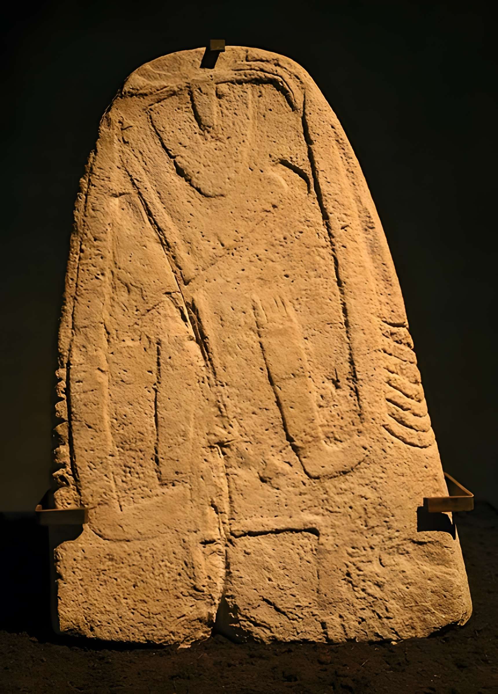 Muséum d'histoire naturelle de Nîmes