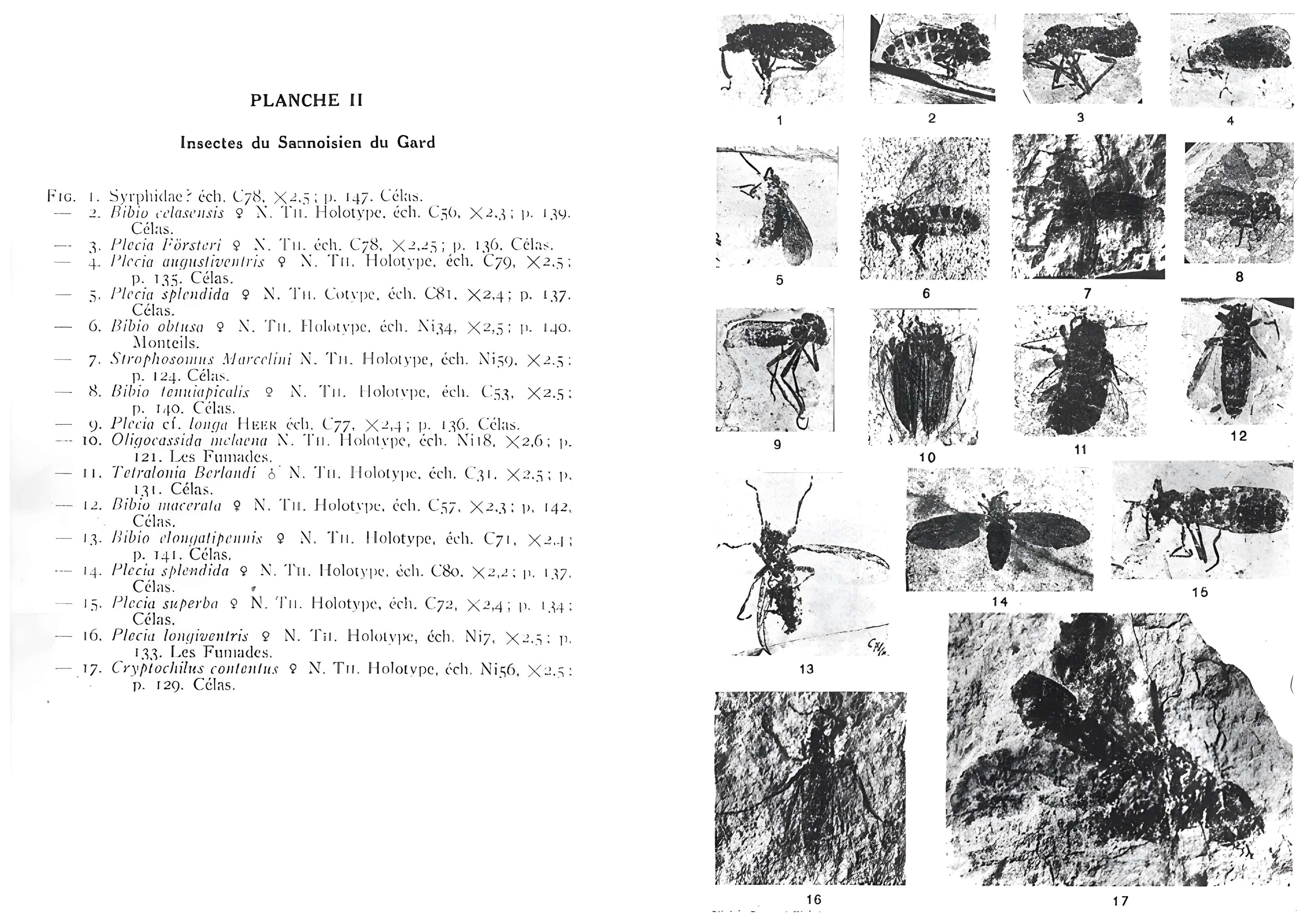 Muséum d'histoire naturelle de Nîmes