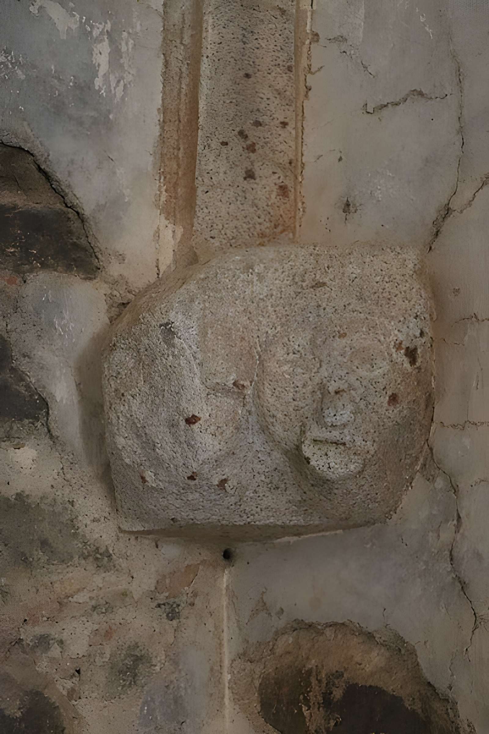 Château de Saint Mesmin