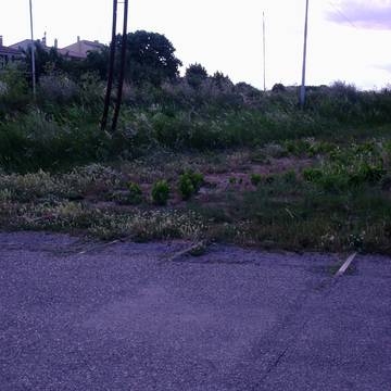 Musée du Train à Vapeur de Palavas-les-Flots