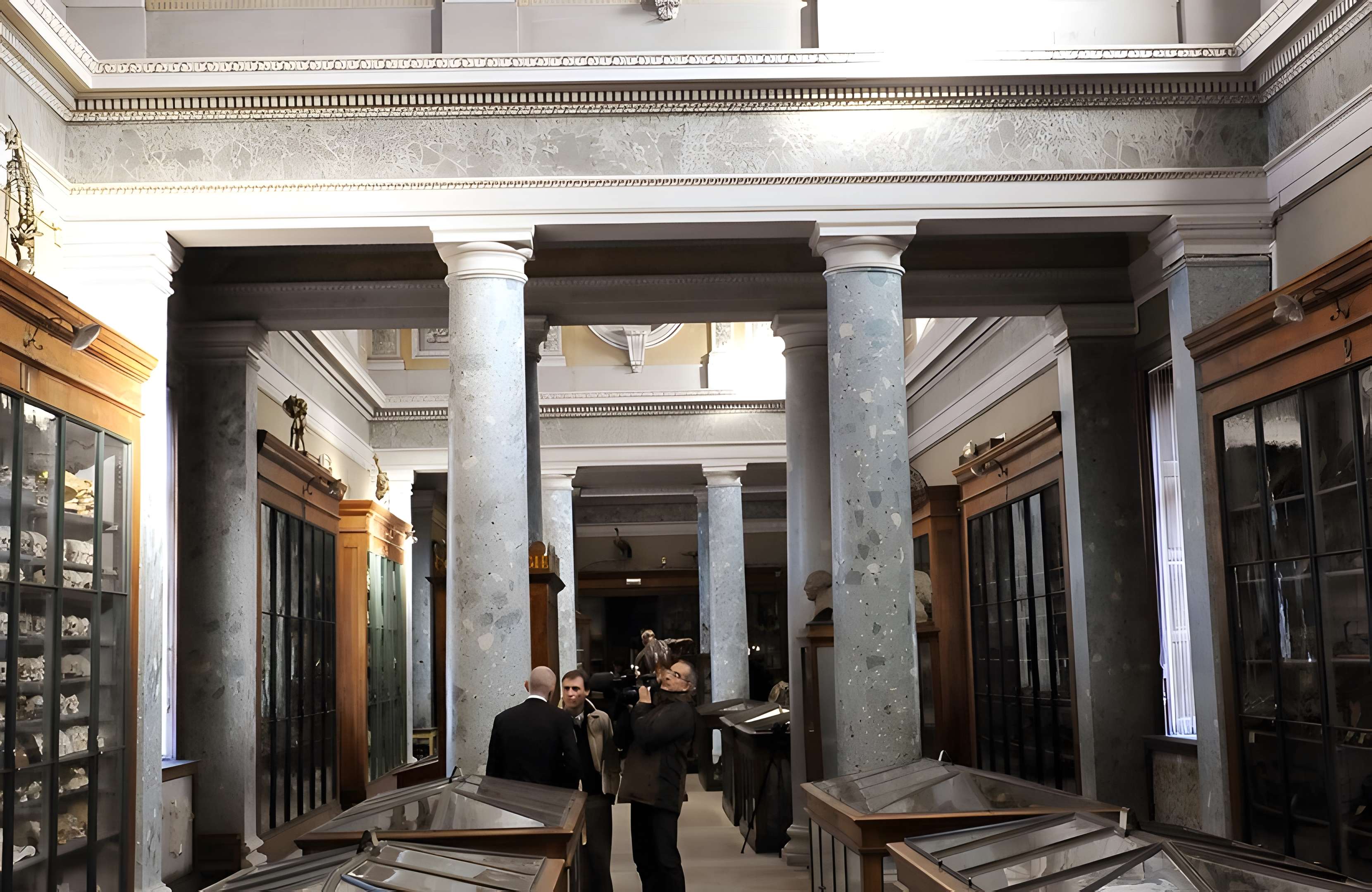 Musée d'Anatomie de Montpellier 