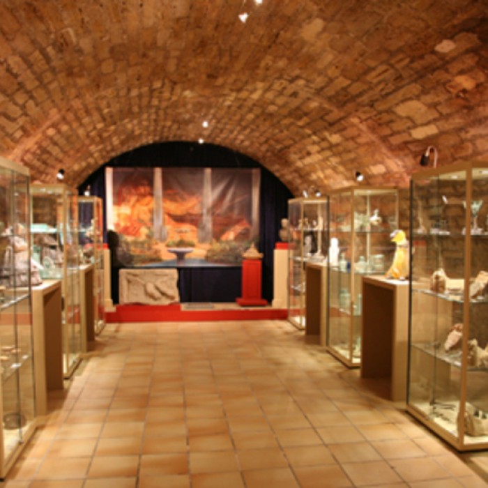 Photo de Musée languedocien de Montpellier