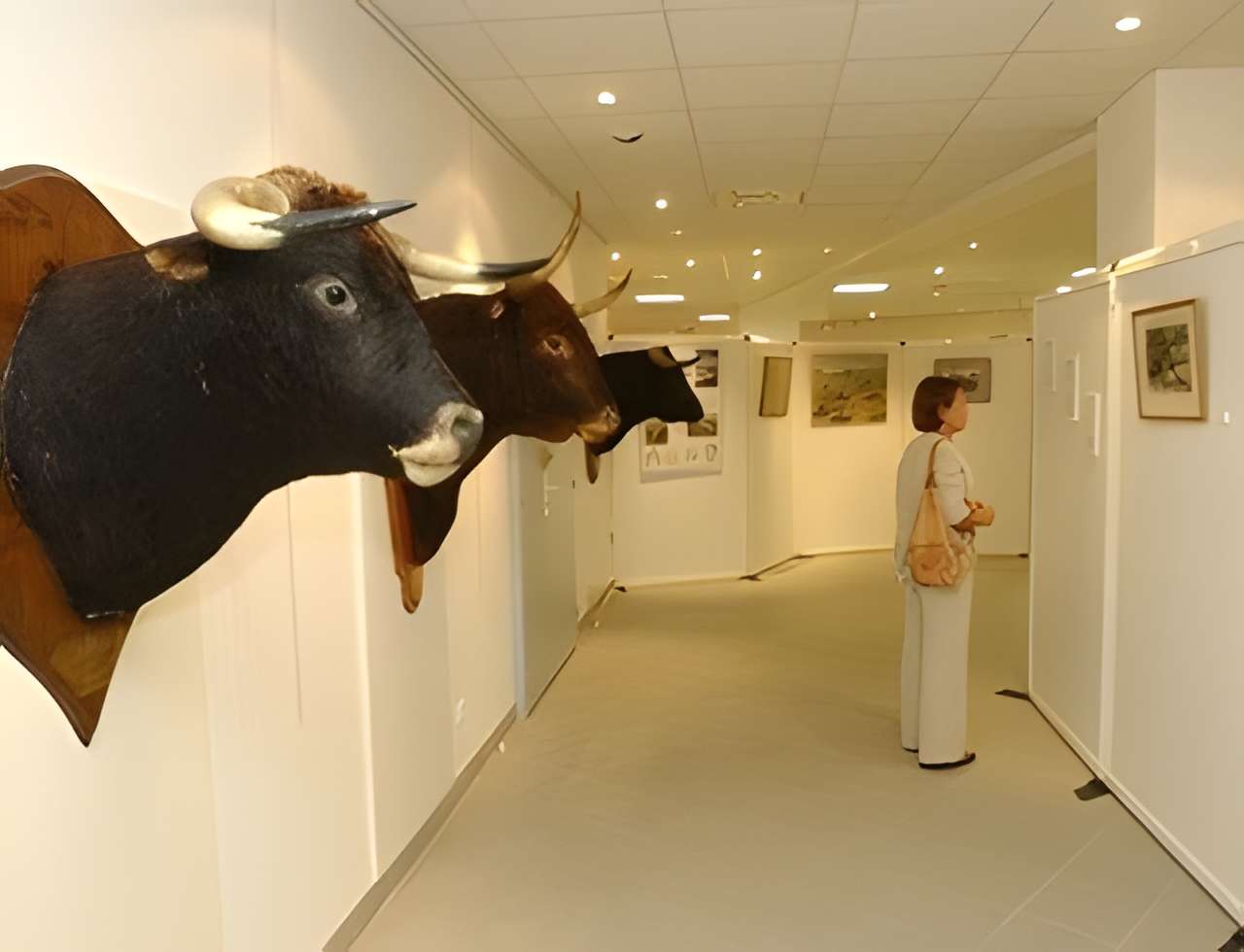 Espace Taurin de Béziers 