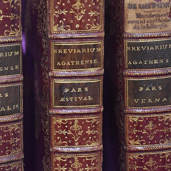 Photo de Musée agathois Jules-Baudou dAgde